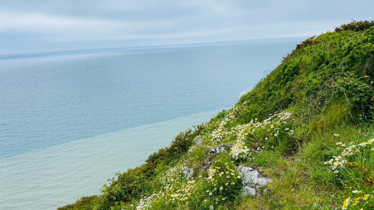 Gordy Hall -Sea Facing Welsh Cottage With Stunning Views Pendine Zewnętrze zdjęcie